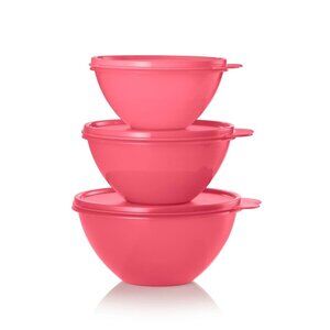 Tupperware Wonderlier 3pc Bowl Set